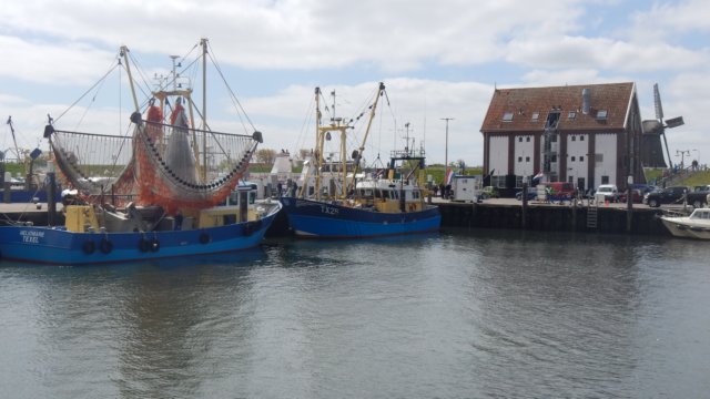 HWK Texel 2015 044.jpg